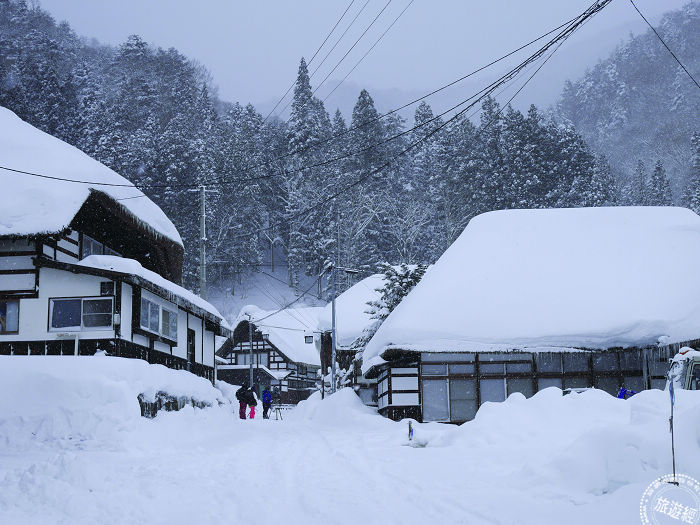 搭乘压雪 车登顶看树冰,雾冰美景.